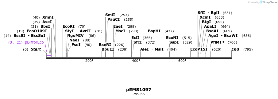 41203_map