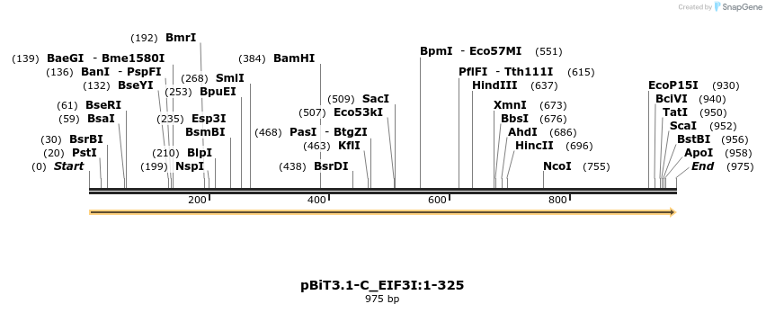 412038_map