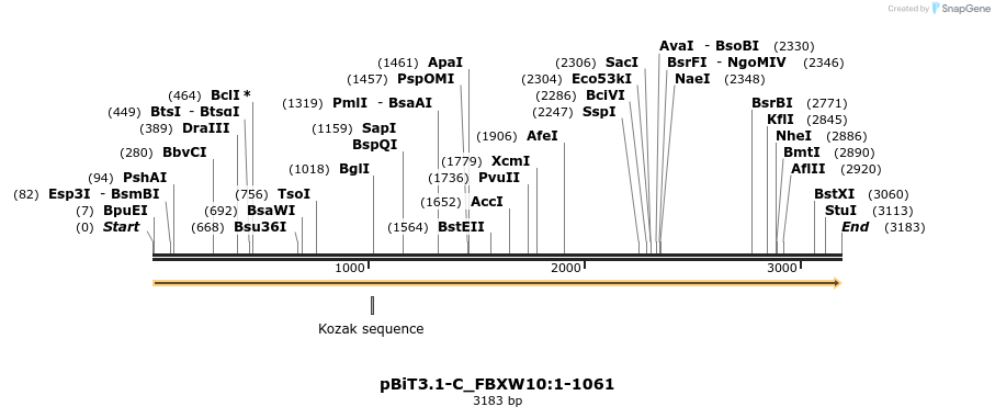 412040_map