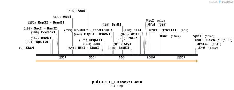 412044_map