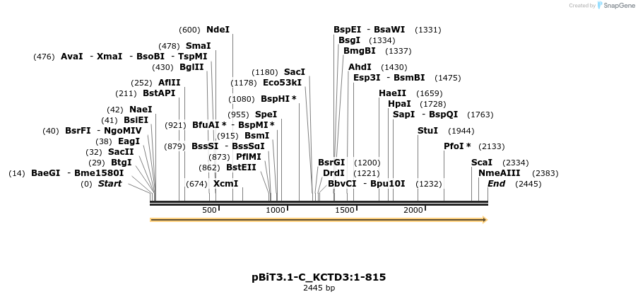 412050_map