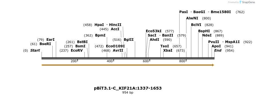 412052_map