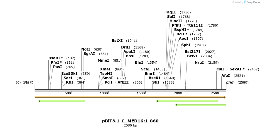 412056_map