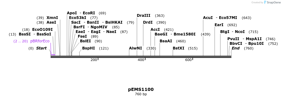 41206_map