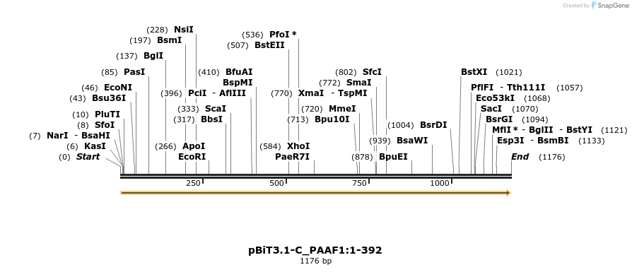 412070_map