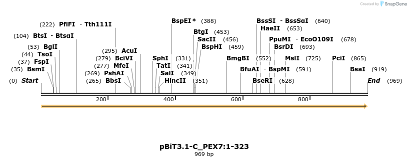 412072_map