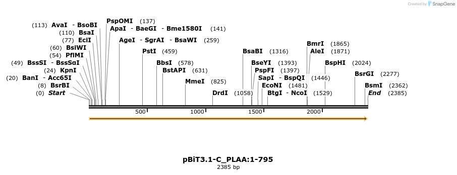 412076_map