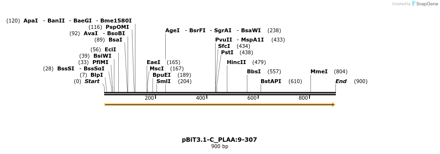 412078_map