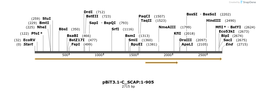 412082_map