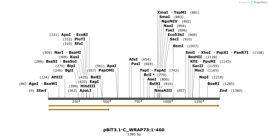 412092_map