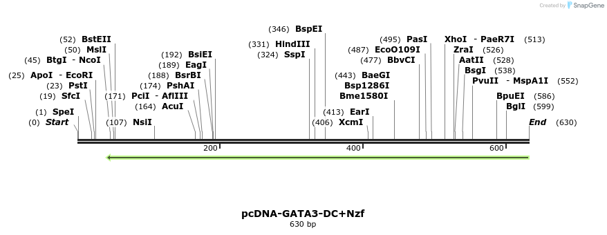 41210_map