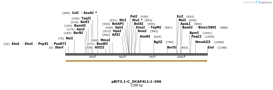 412102_map