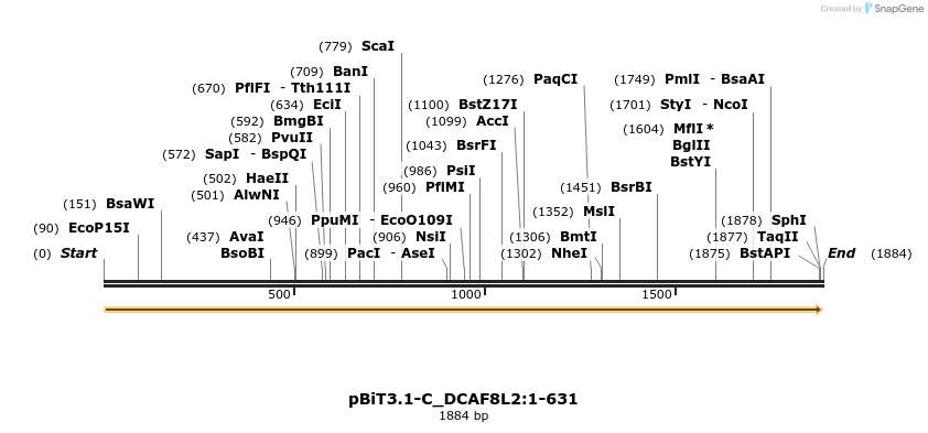 412104_map