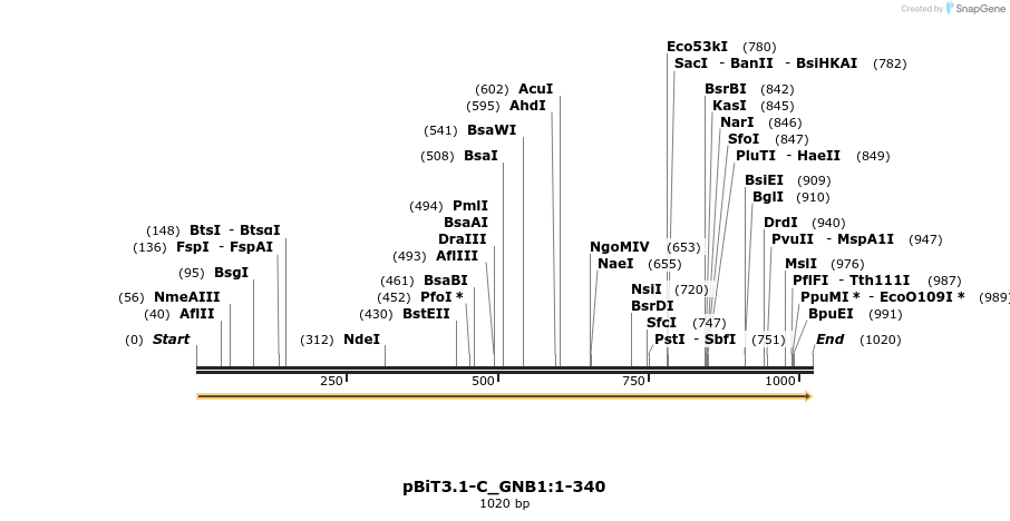 412112_map