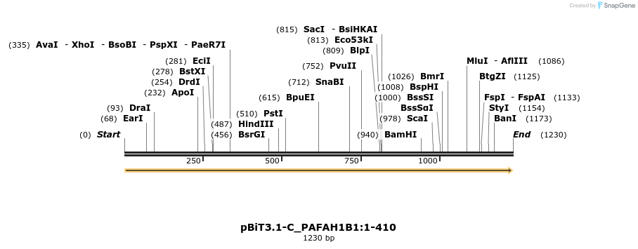 412118_map