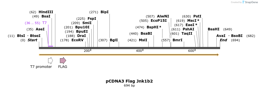 41212_map