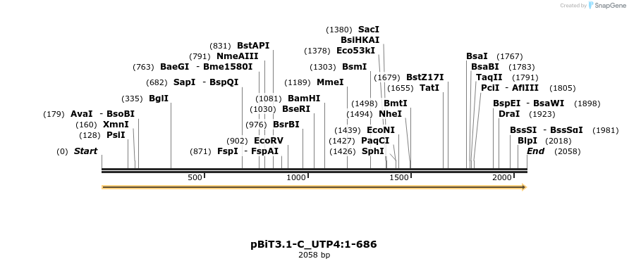 412124_map