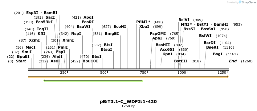 412126_map