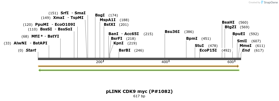 41213_map