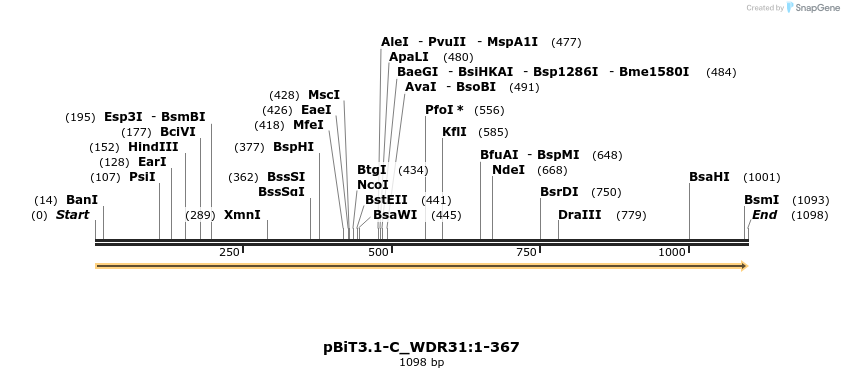 412130_map