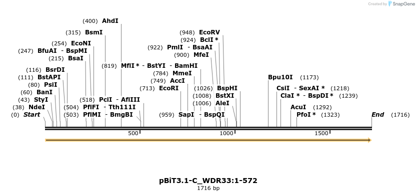 412132_map