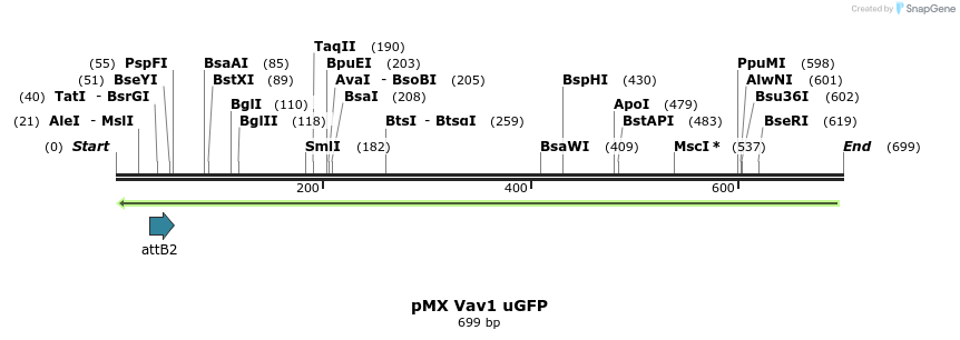 41214_map
