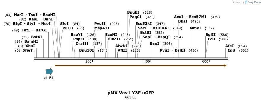 41215_map