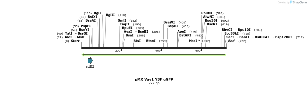 41216_map