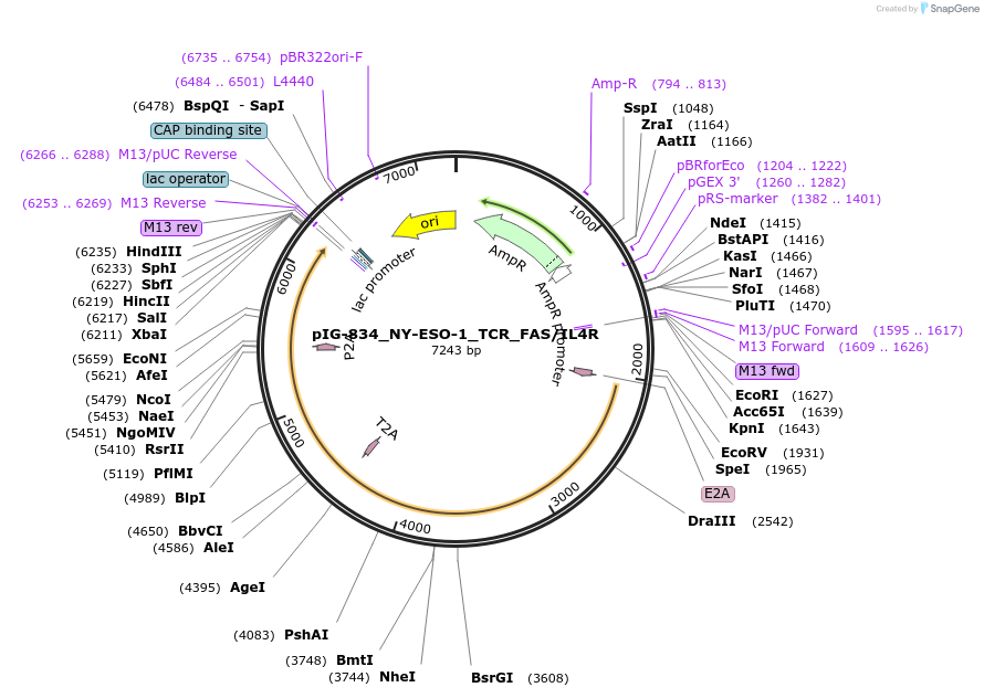 412309_map
