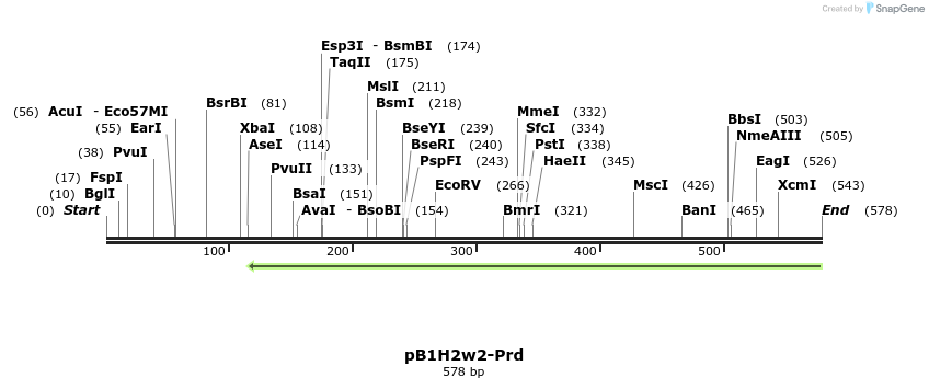 41236_map