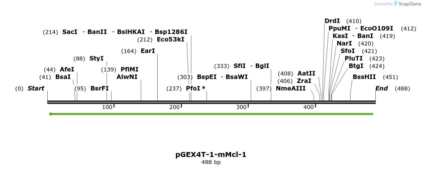 41239_map