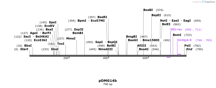 41249_map