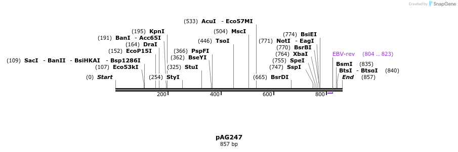 41251_map