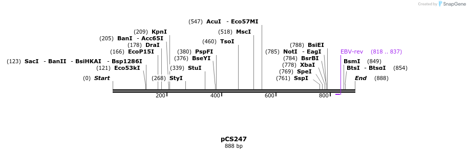 41252_map