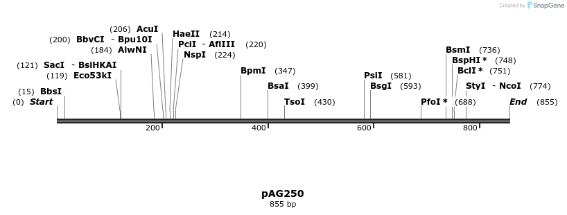 41255_map
