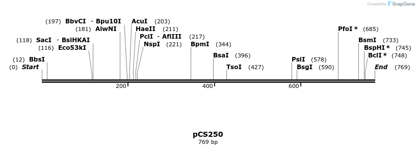 41256_map