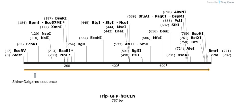 41261_map