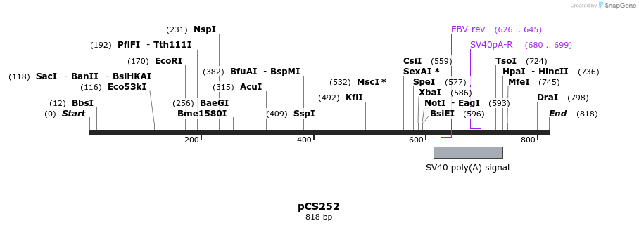 41263_map