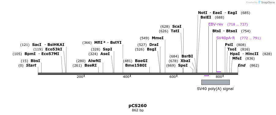 41268_map