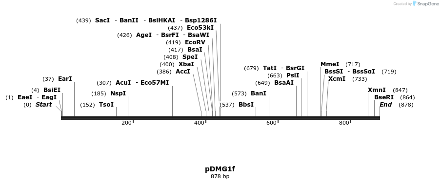 41271_map