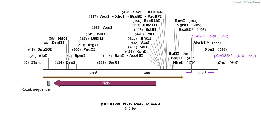 41272_map