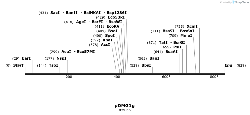 41273_map