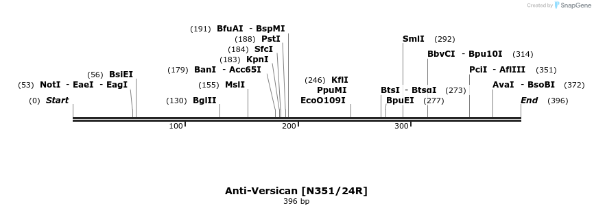 412733_map