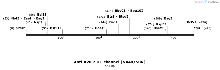 412739_map