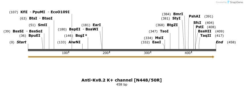 412740_map