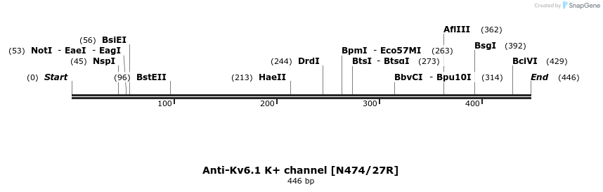 412741_map