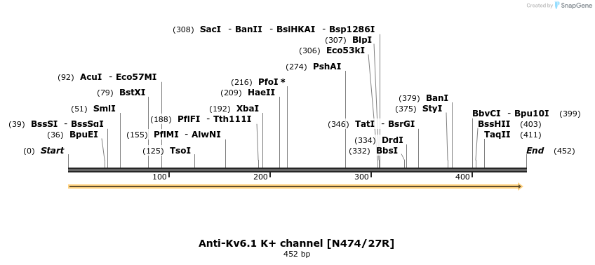 412742_map