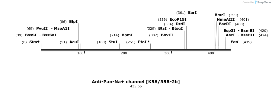 412748_map