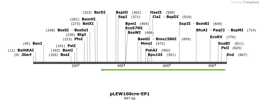41275_map