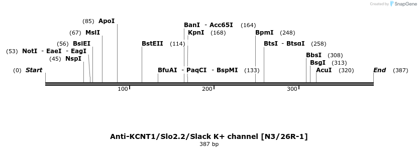 412761_map